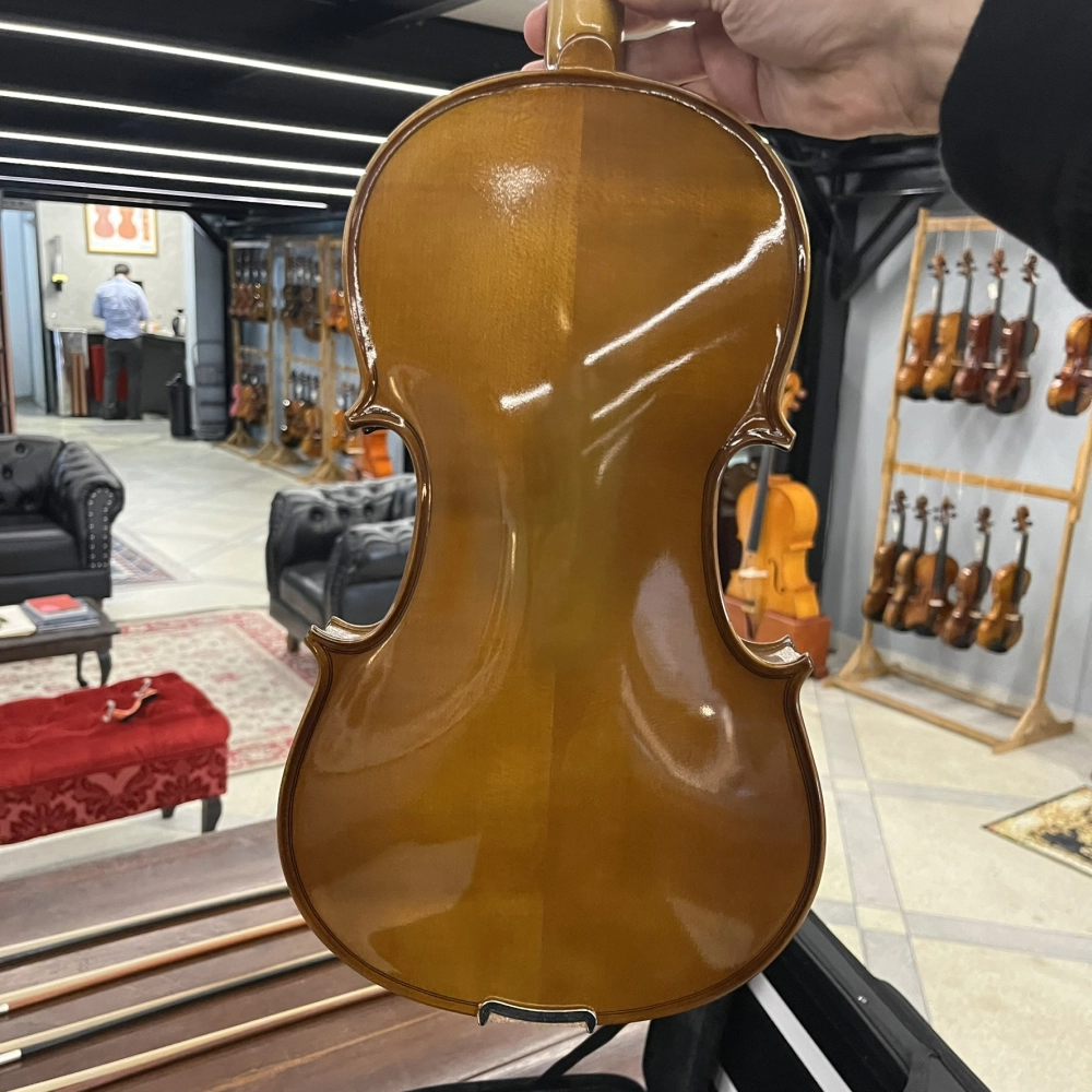 Violino Erudithus Série HV100 Brown 4/4 - Avaria U128