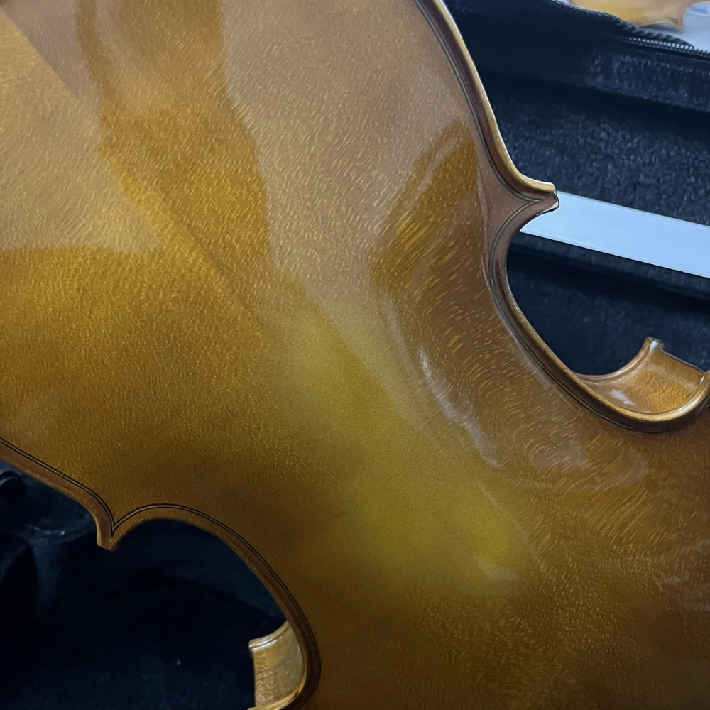 Violino Erudithus Série HV100 Brown 4/4 - Avaria U128