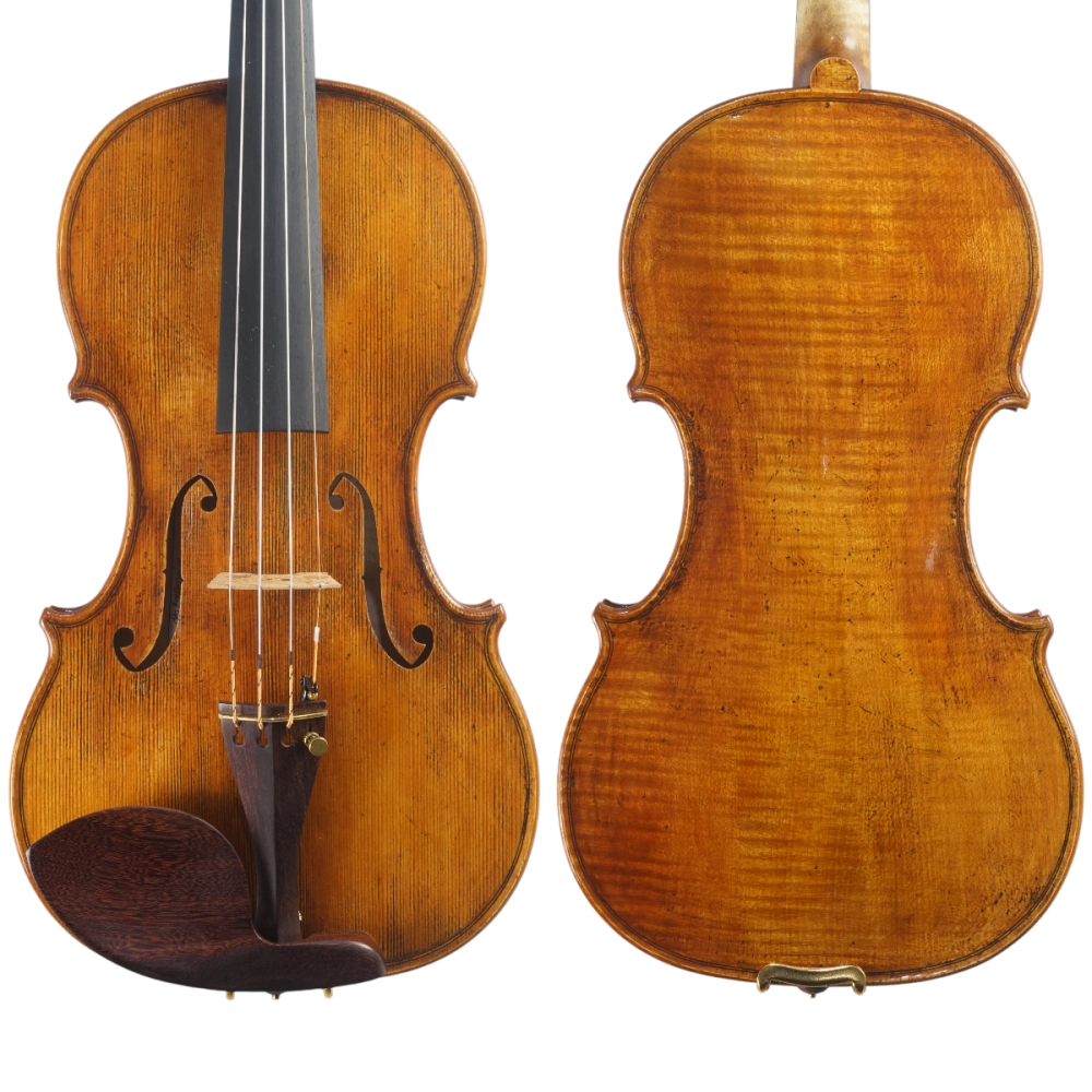 Violino Luthier Marcos Pandolfi 2025 Lord Wilton n694