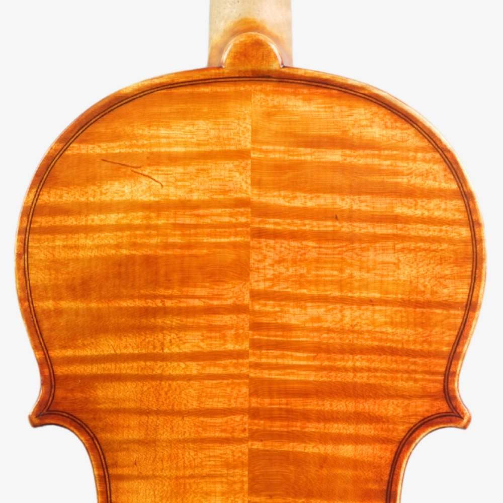 Violino Luthier Rodolfo Bettio 2020 Terrarium n829