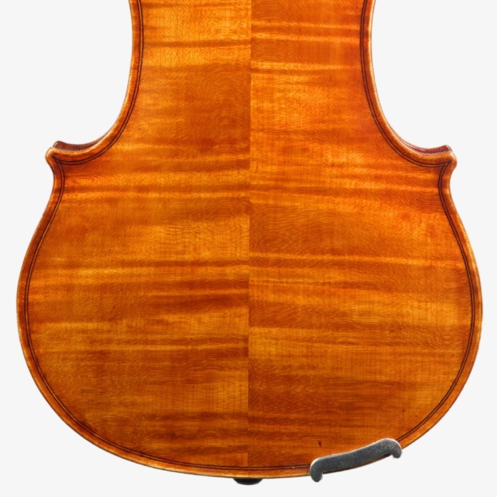 Violino Luthier Rodolfo Bettio 2020 Terrarium n829