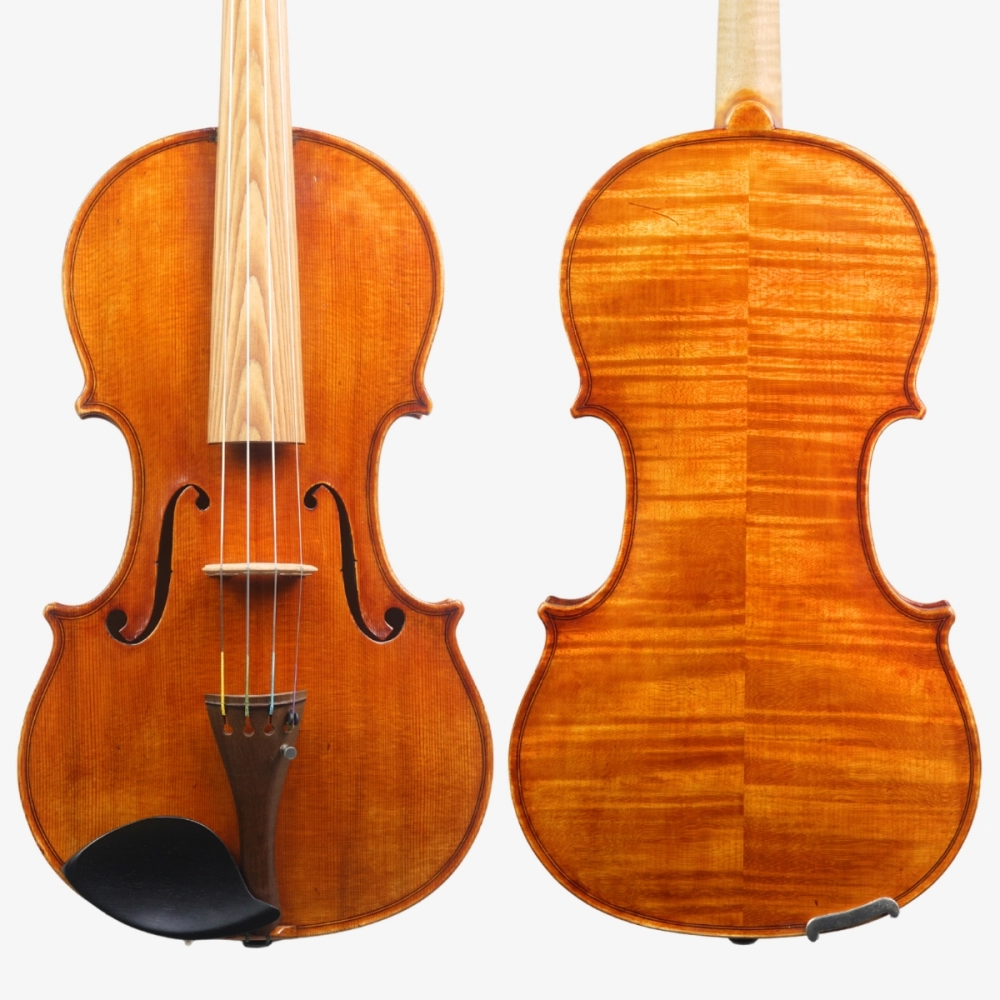 Violino Luthier Rodolfo Bettio 2020 Terrarium n829