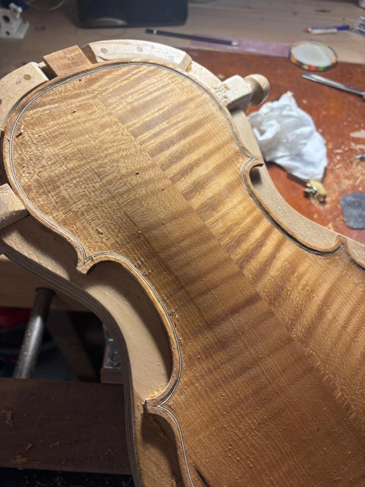 Violino Luthier Vinicius Fachinetti 2025 n825