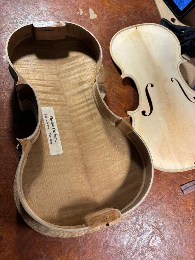 Violino Luthier Vinicius Fachinetti 2025 n825