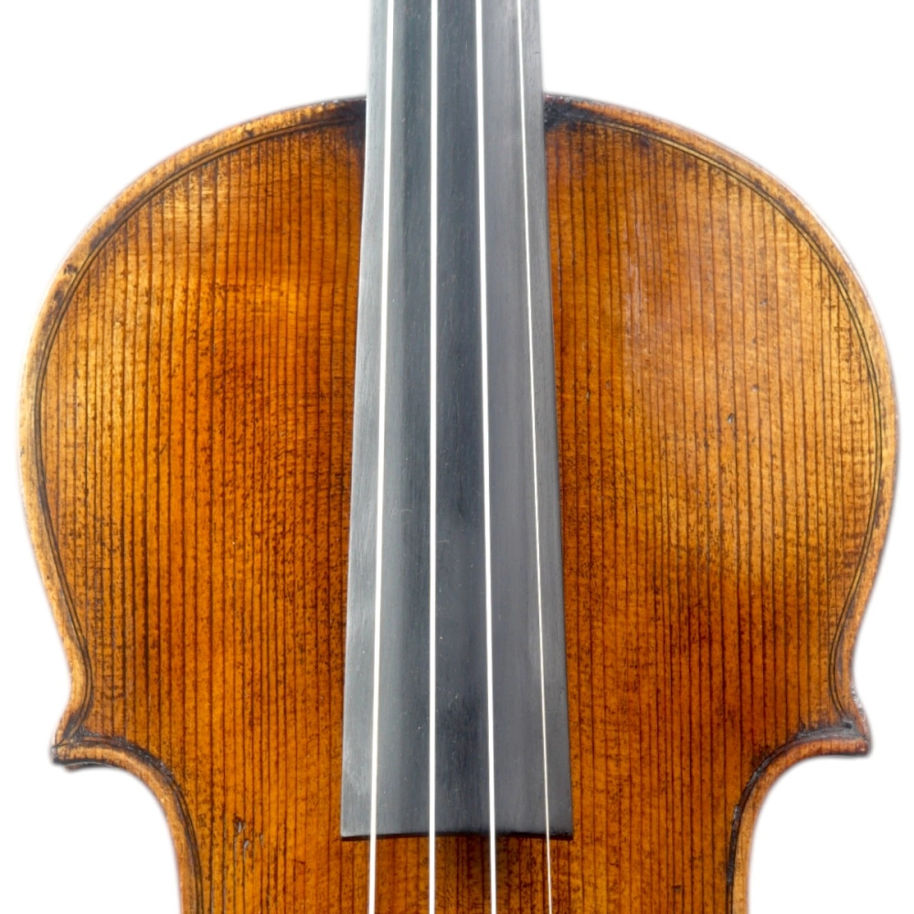 Violino Marsale Brasiliano 2026 Grau A n793