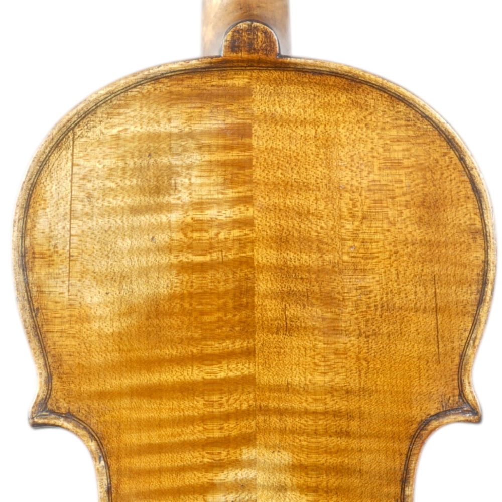 Violino Marsale Brasiliano 2026 Grau A n793