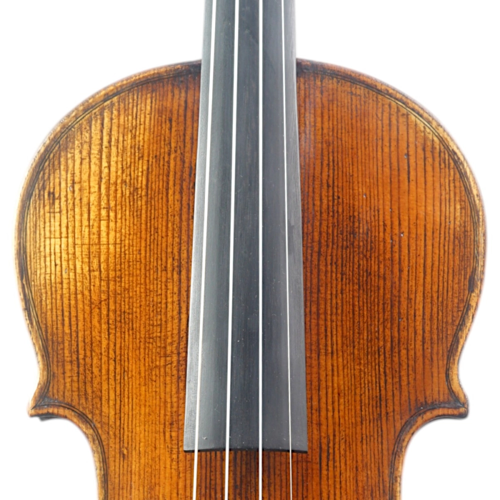 Violino Marsale Brasiliano 2026 Grau A n795