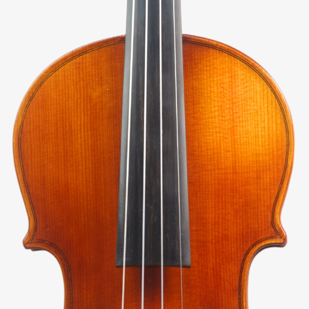 Violino Marsale Brasiliano 2026 Grau A n806
