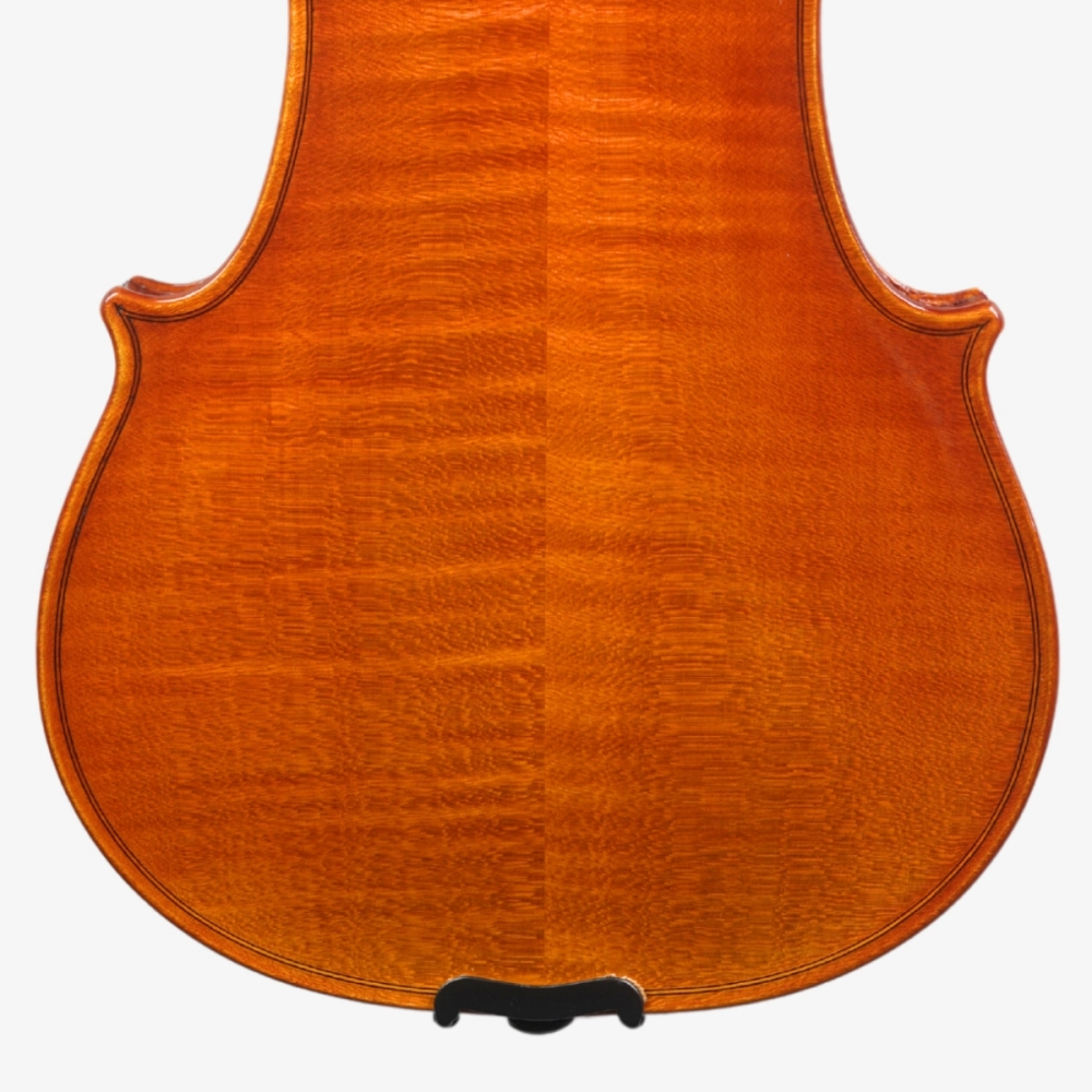 Violino Marsale Brasiliano 2026 Grau A n806