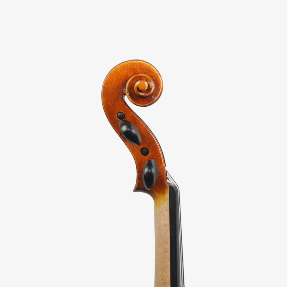 Violino Marsale Brasiliano 2026 Grau A n806