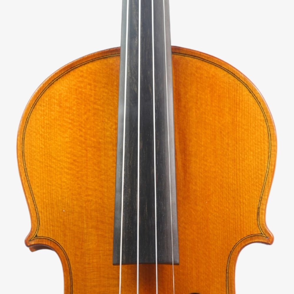 Violino Marsale Brasiliano 2026 Grau A n808