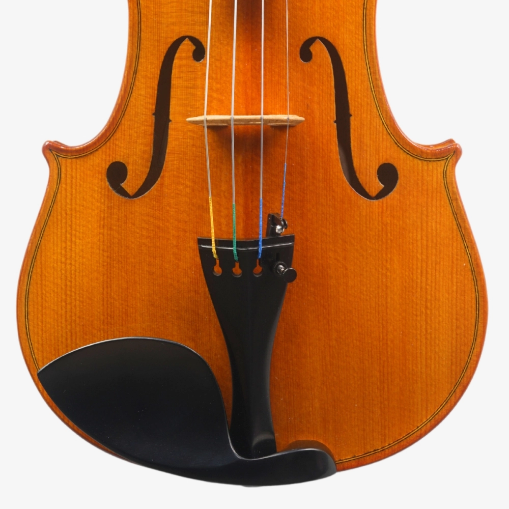 Violino Marsale Brasiliano 2026 Grau A n808