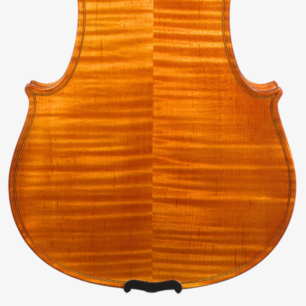 Violino Marsale Brasiliano 2026 Grau A n808