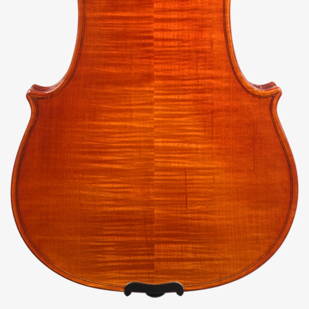 Violino Marsale Brasiliano 2026 Grau A n809 - Verso parte de baixo