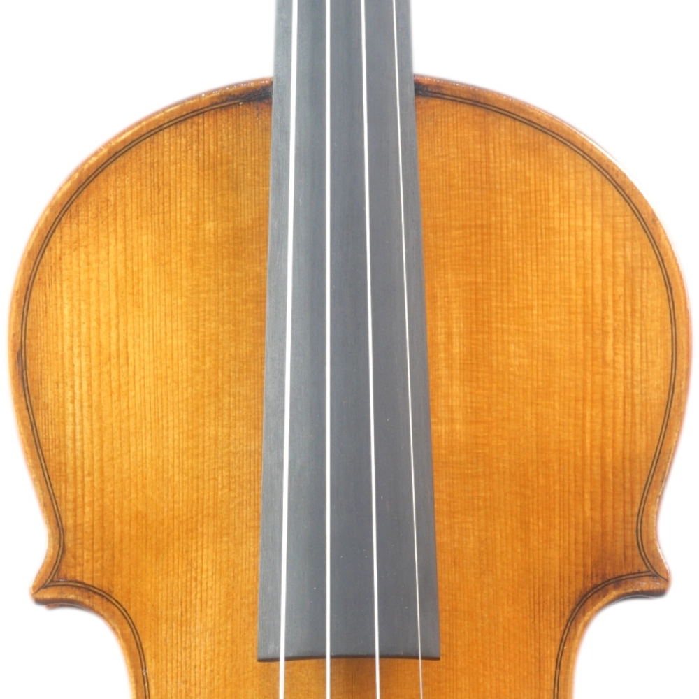 Violino Marsale Brasiliano 2026 Grau B n801