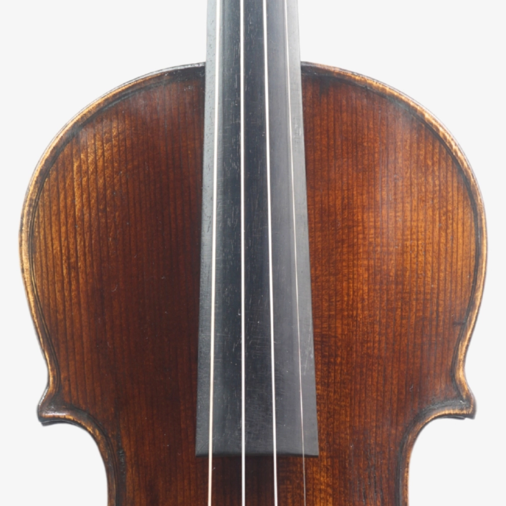 Violino Marsale Brasiliano 2026 n816
