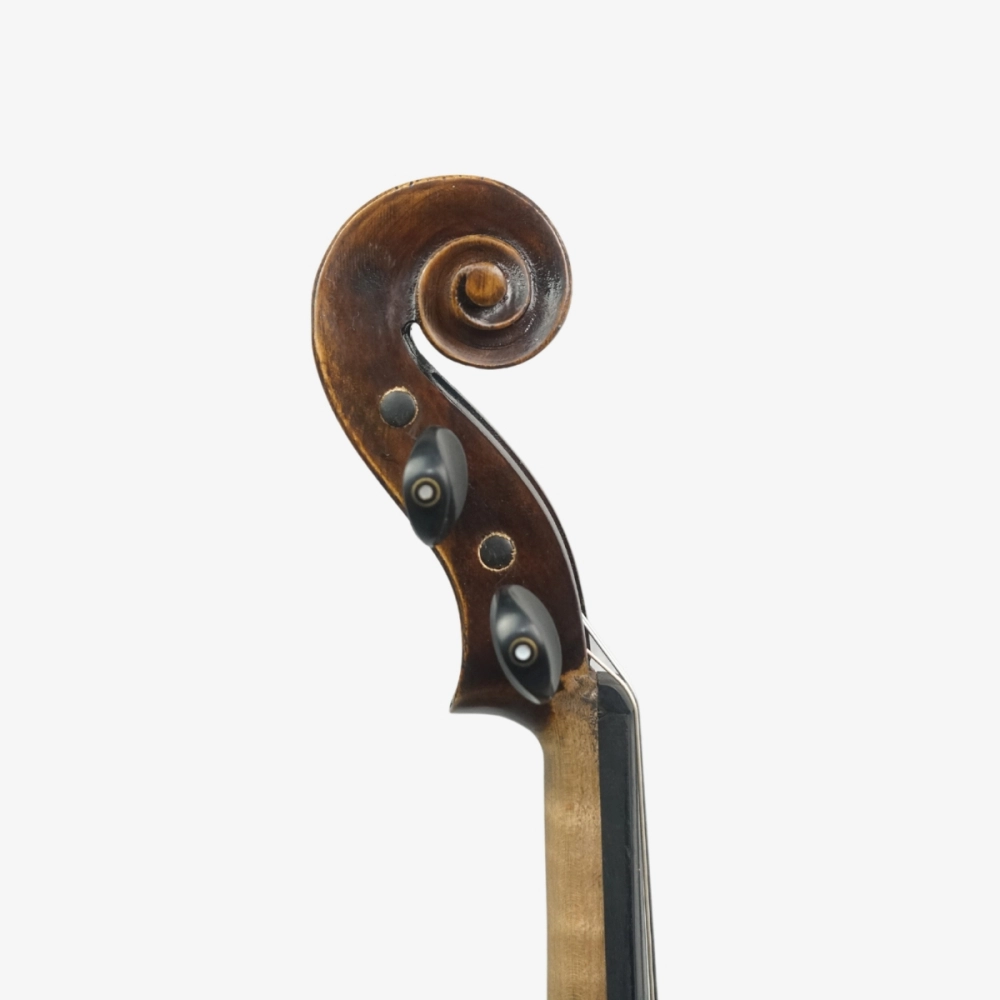 Violino Marsale Brasiliano 2026 n816