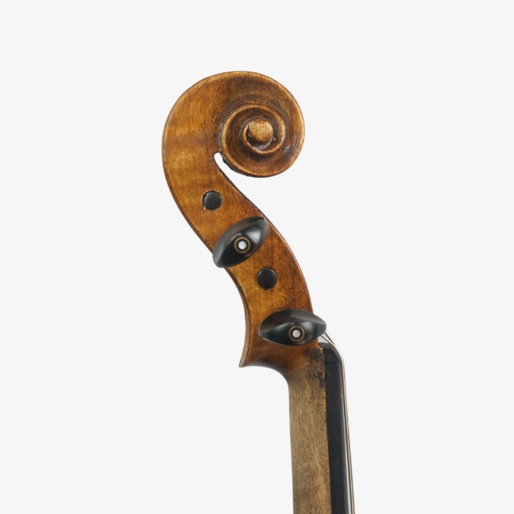 Violino Marsale Brasiliano 2026 n817 - Voluta