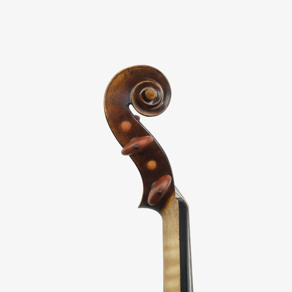 Violino Marsale Brasiliano 2026 n821