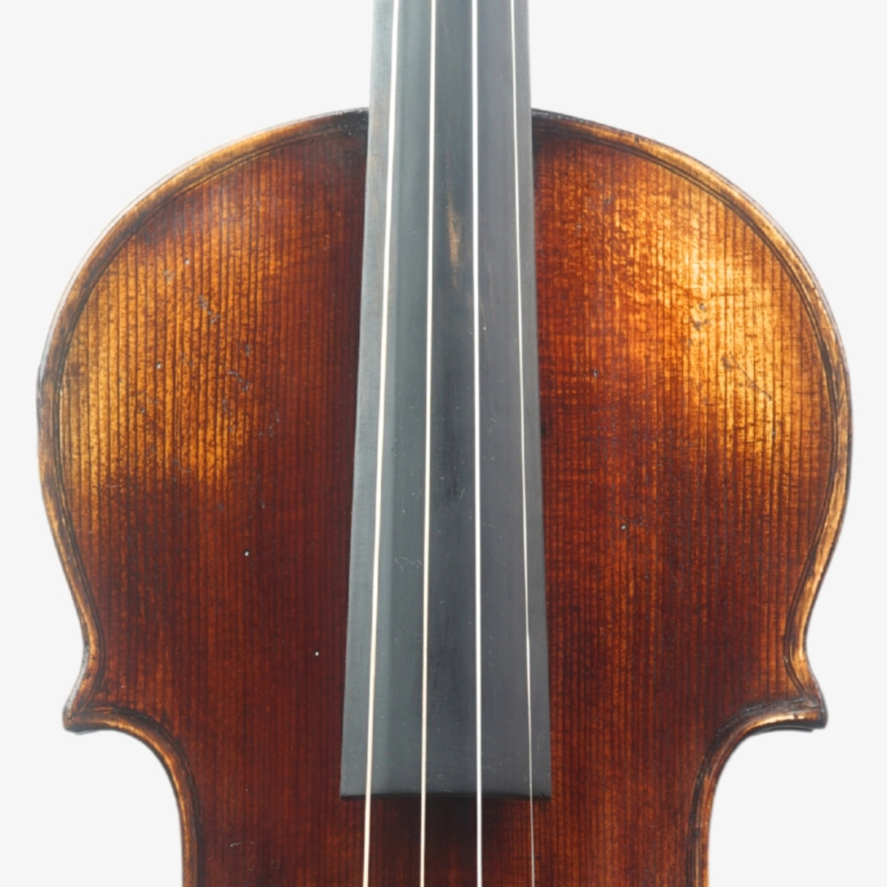 Violino Marsale Brasiliano 2026 n822