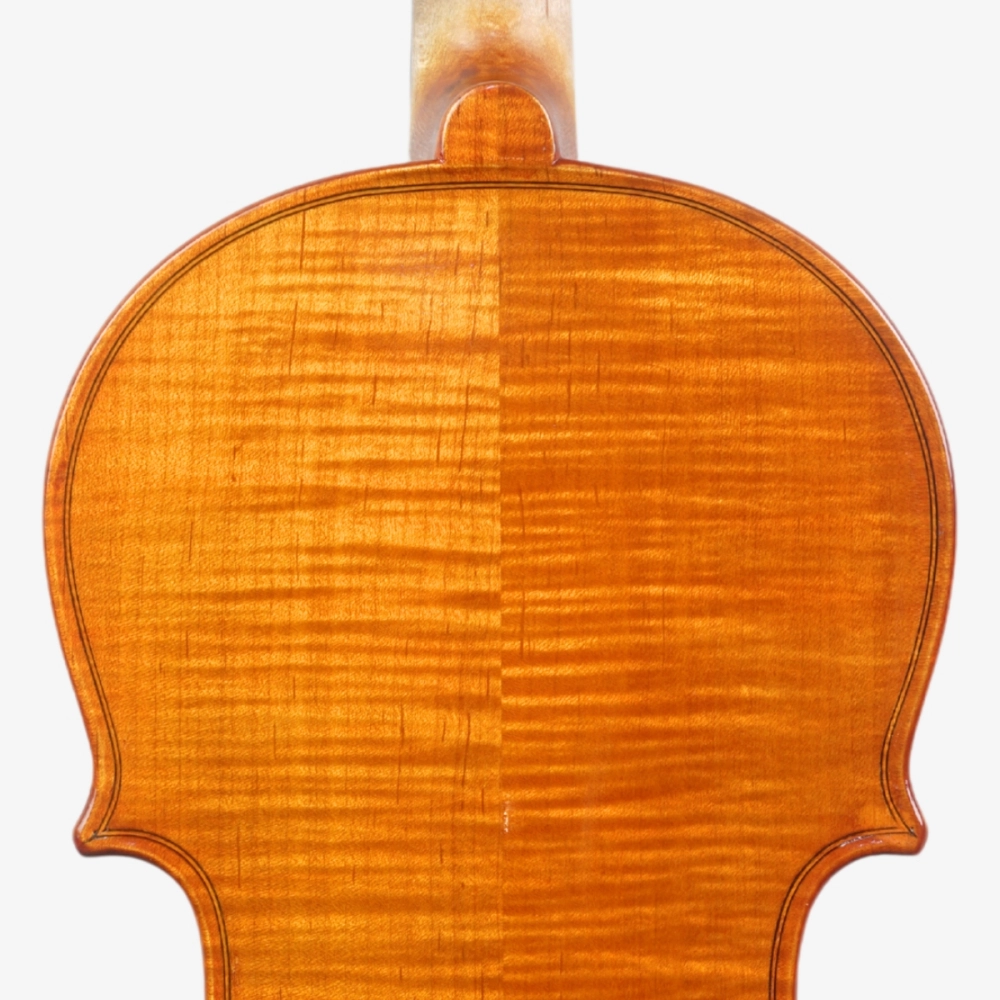 Violino Marsale Brasiliano 2026 Stradivari n807