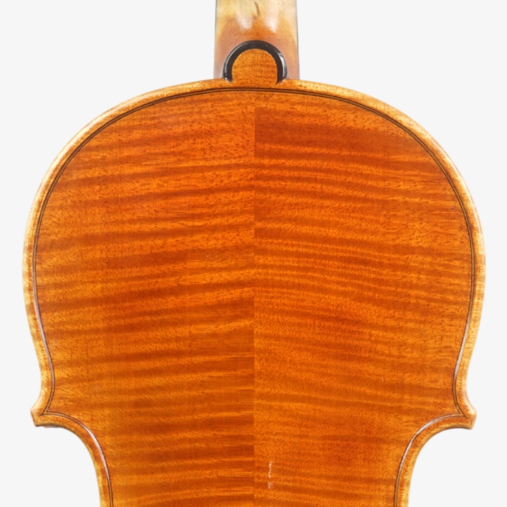 Violino Rinaldo Bellochi 2026 n823 - Verso Superior