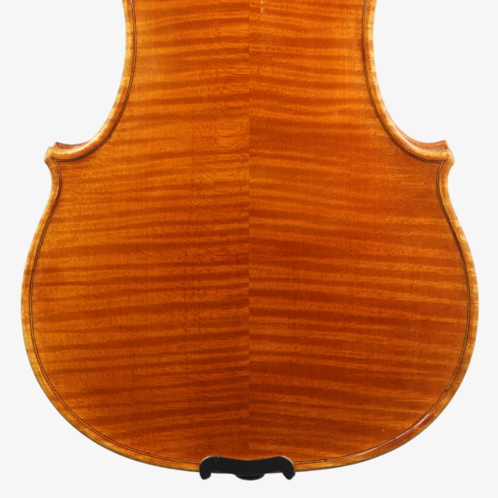 Violino Rinaldo Bellochi 2026 n823 - Verso Inferior