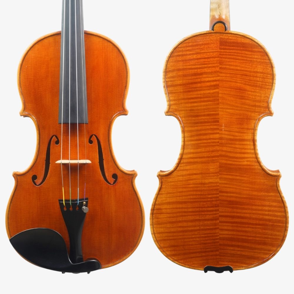 Violino Rinaldo Bellochi 2026 n823 Violino Rinaldo Bellochi 2026 n823
