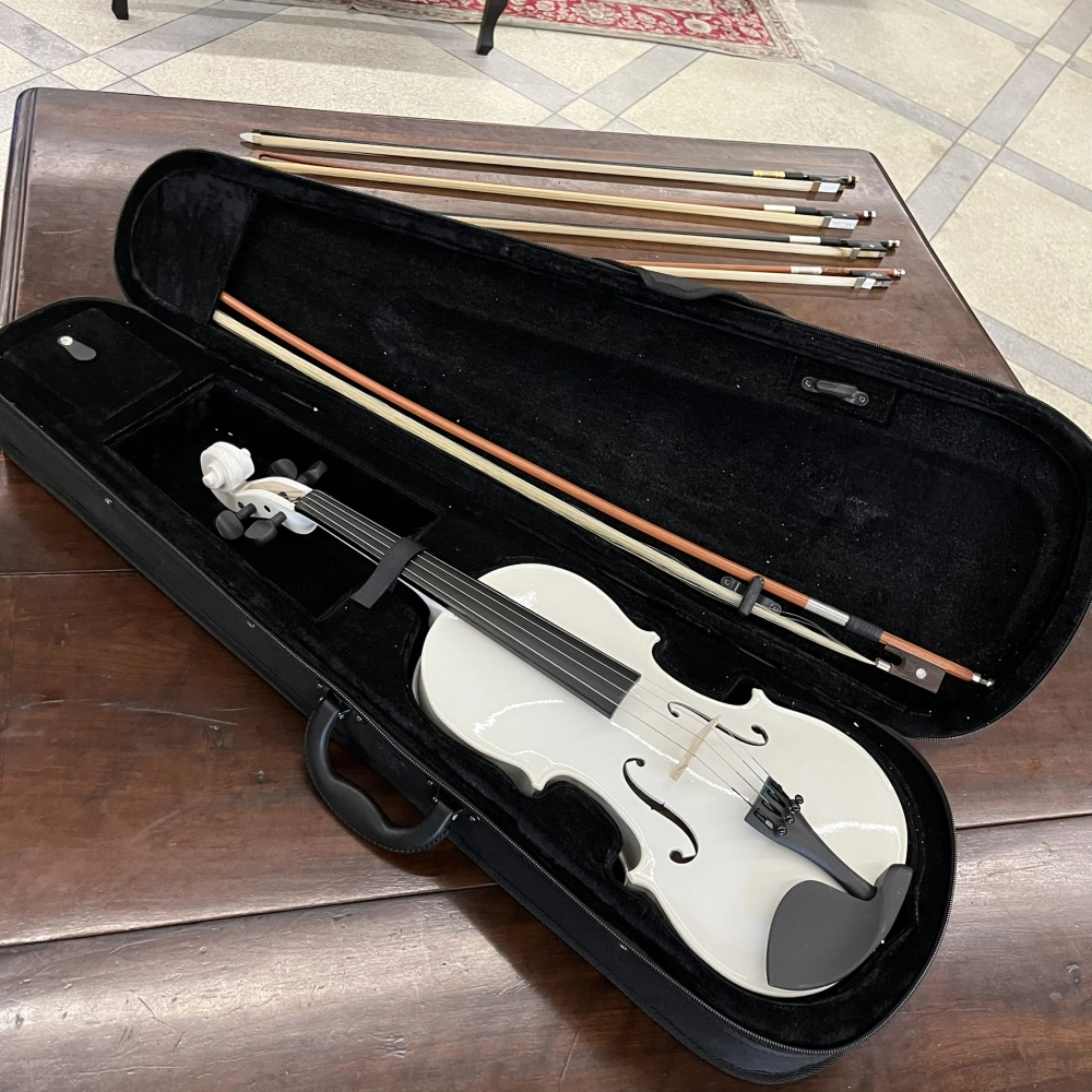 Violino Tarttan Série 100 Branco 4/4 - Usado U138