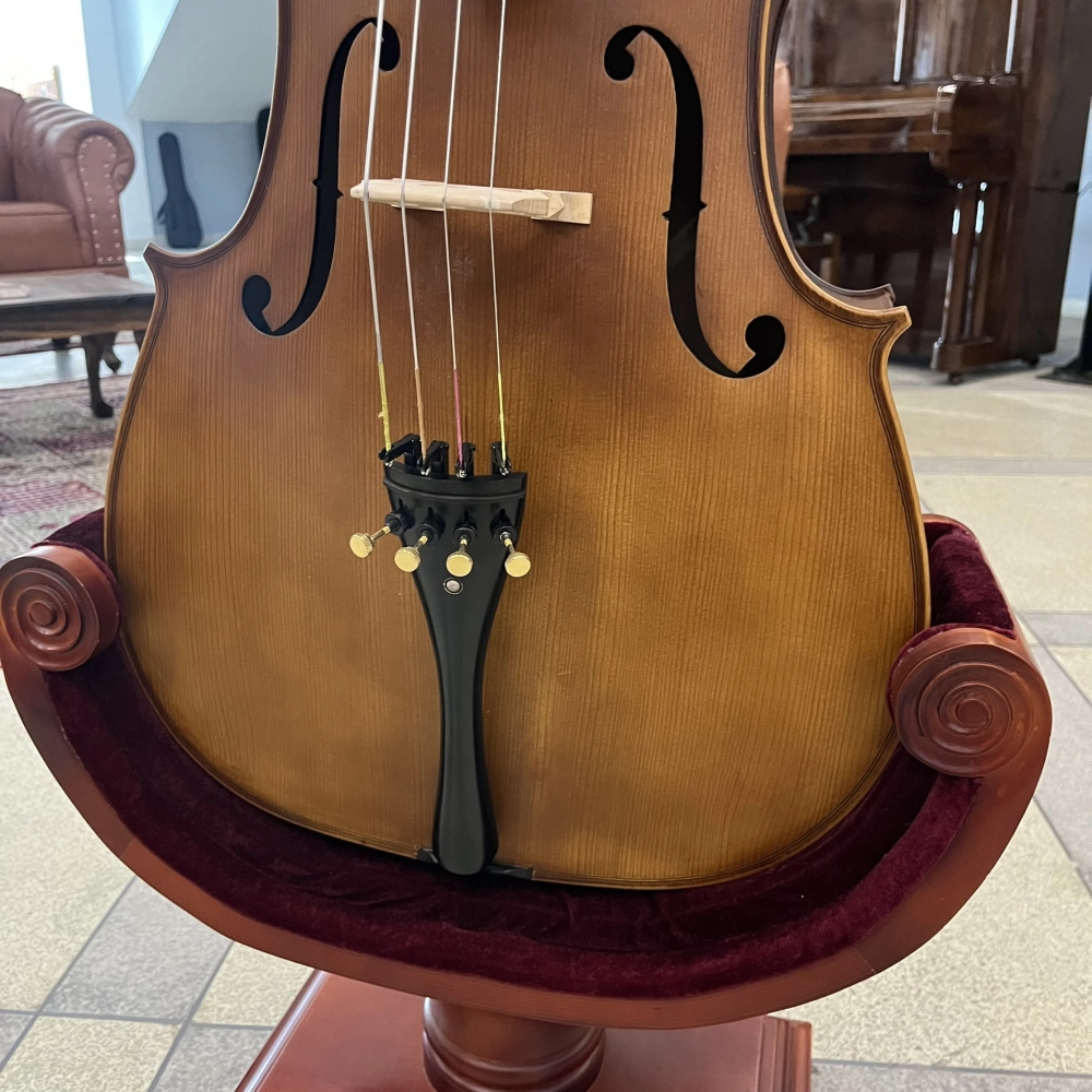 Violoncelo Eagle Master Série CE300 4/4