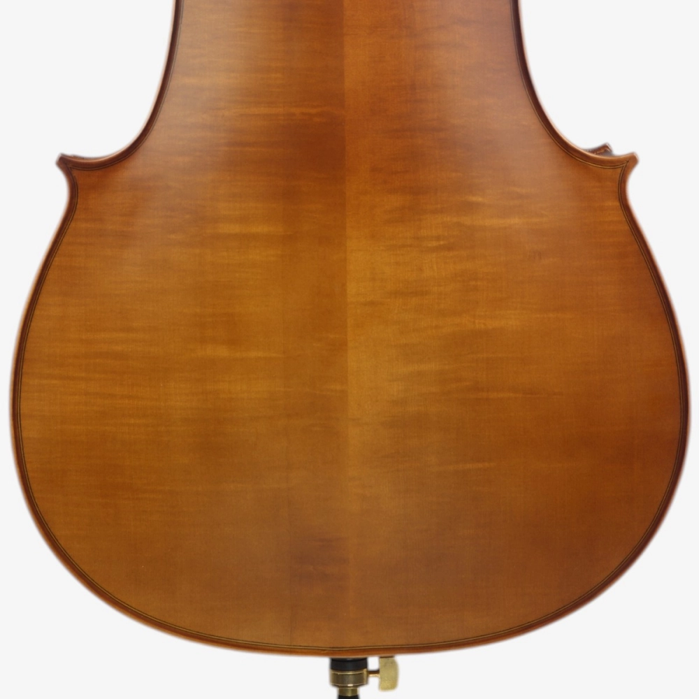 Violoncelo Eagle Master Série CE300 4/4