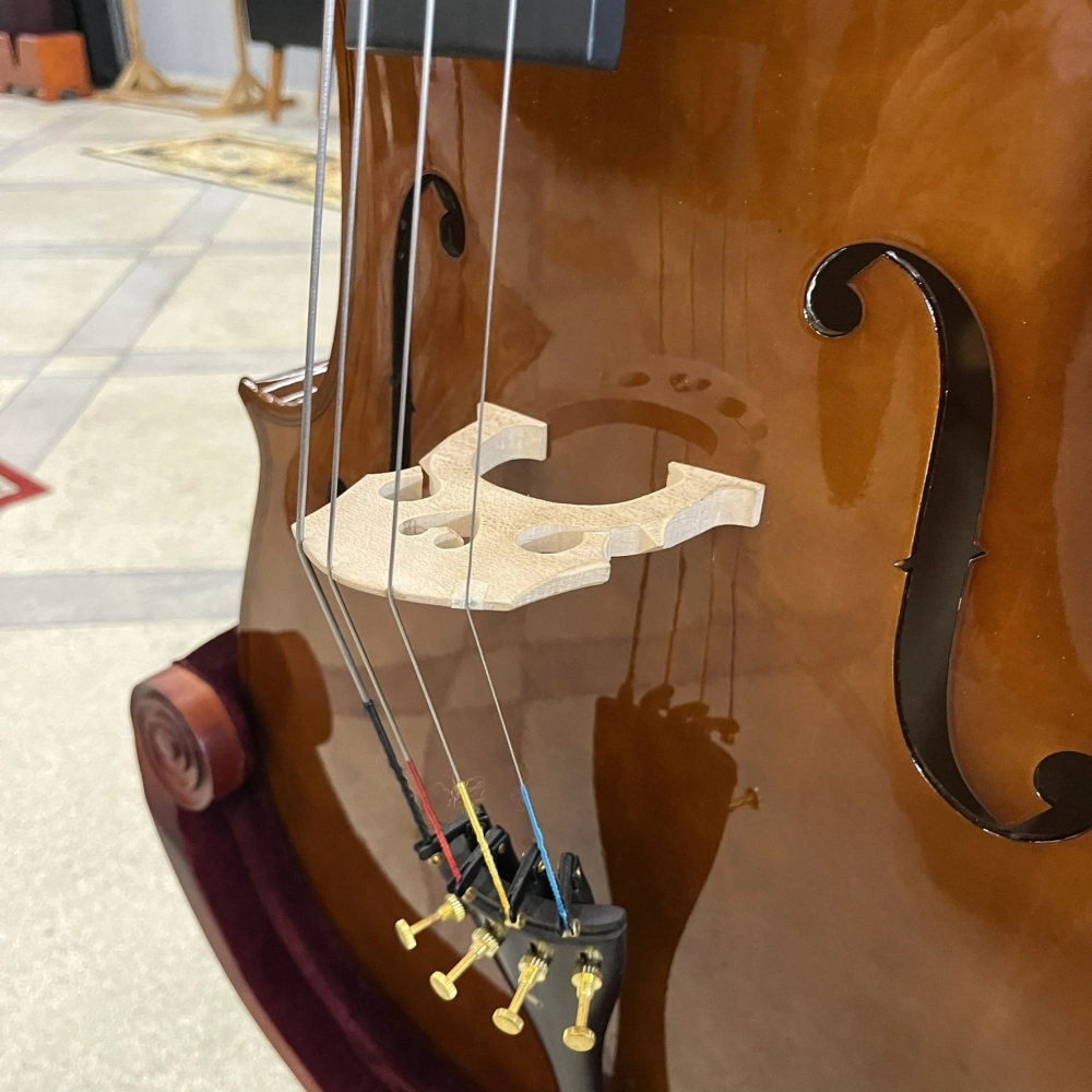 Violoncelo Erudithus Série YC100 Brown 4/4 - Usado 2024 U139