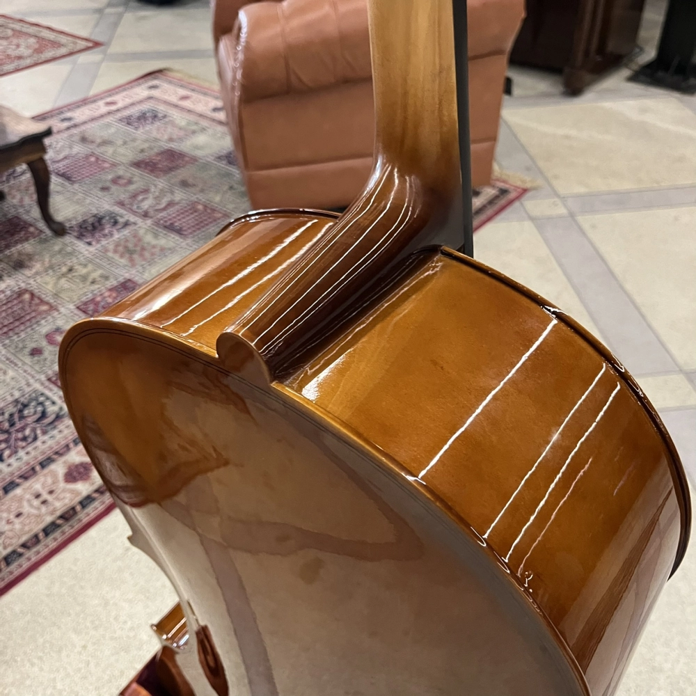Violoncelo Erudithus Série YC100 Brown 4/4 - Usado 2024 U139