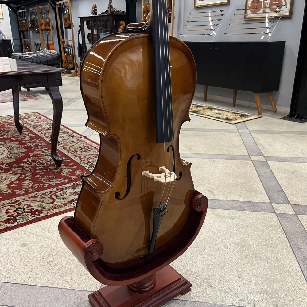 Violoncelo Erudithus Série YC100 Brown 4/4 - Usado U136