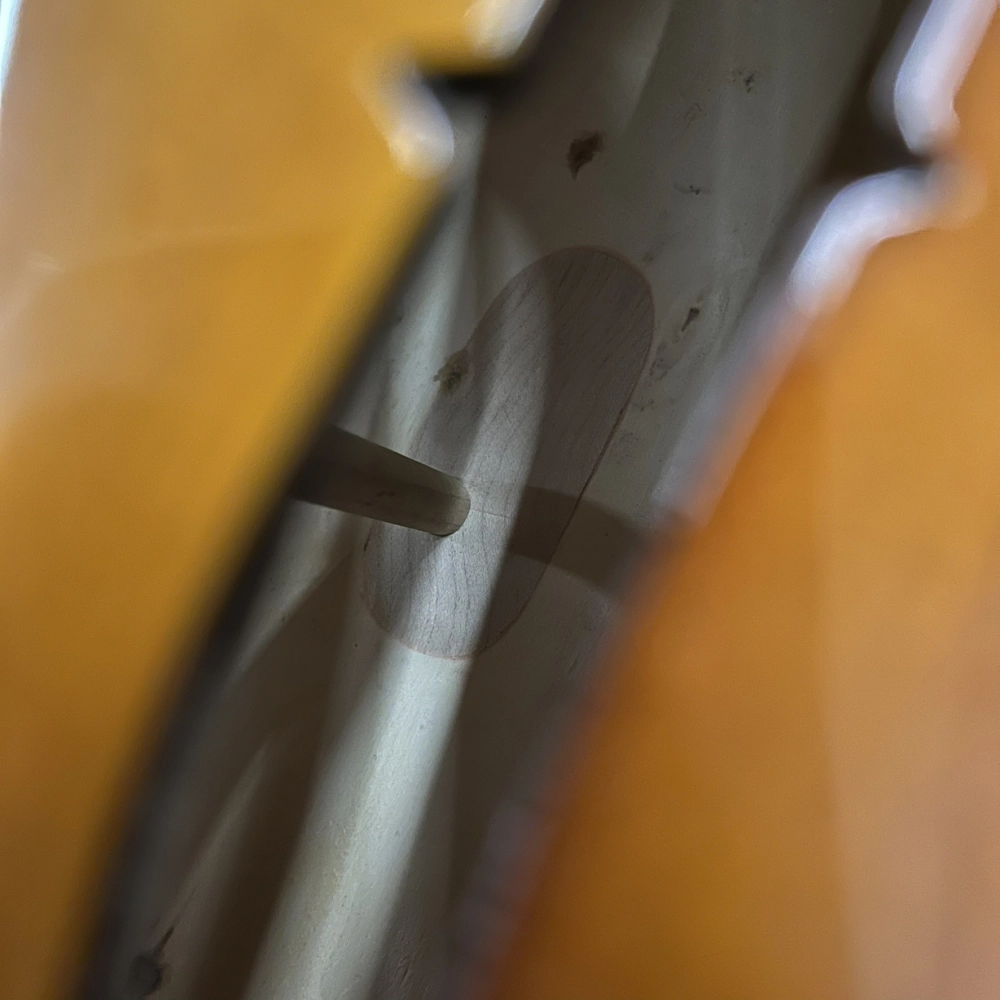 Violoncelo Erudithus Série YC100 Brown 4/4 - Usado U136