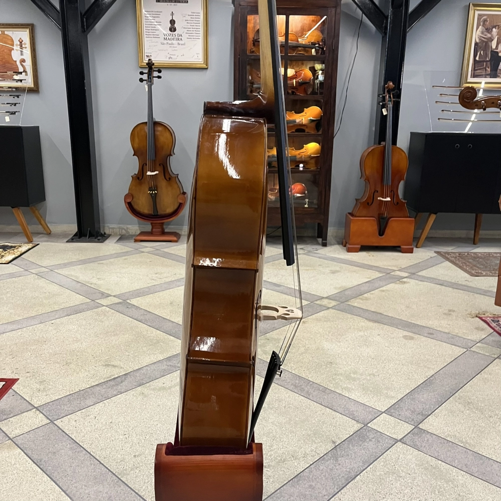 Violoncelo Erudithus Série YC100 Brown 4/4 - Usado U136