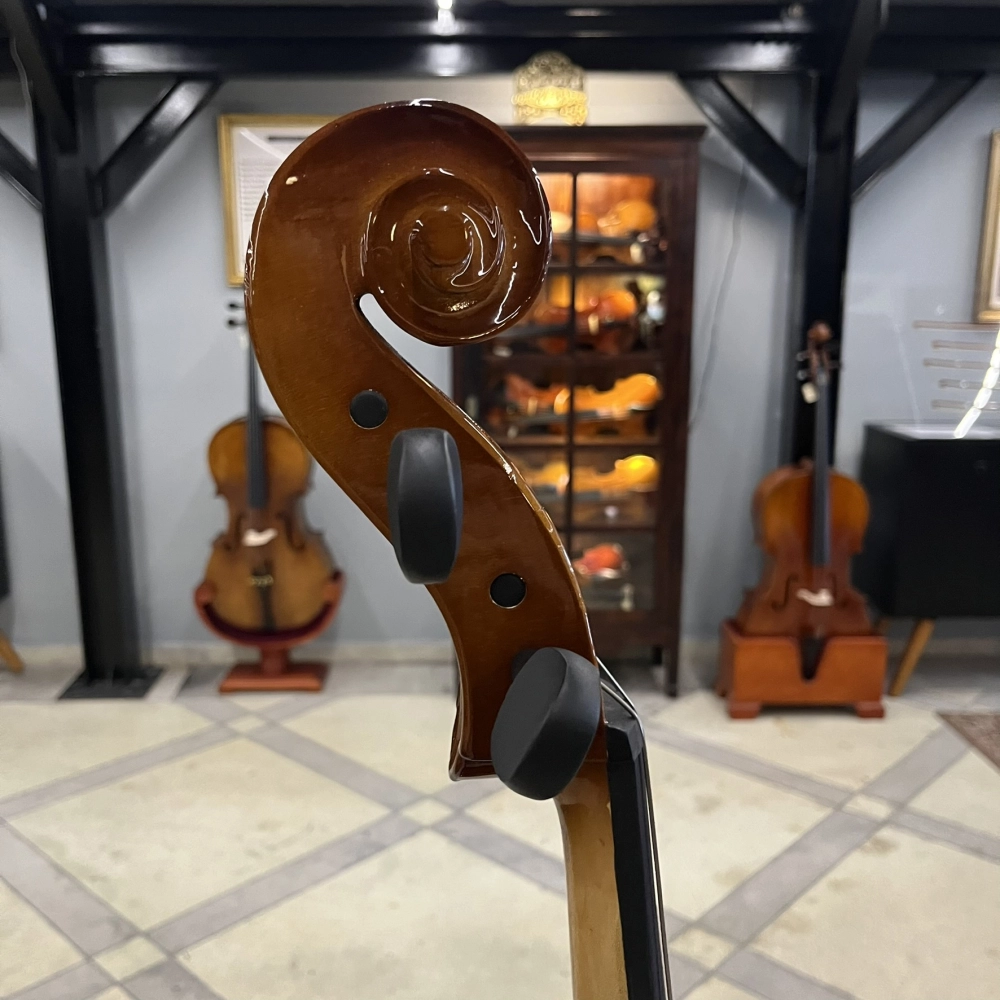 Violoncelo Erudithus Série YC100 Brown 4/4 - Usado U136