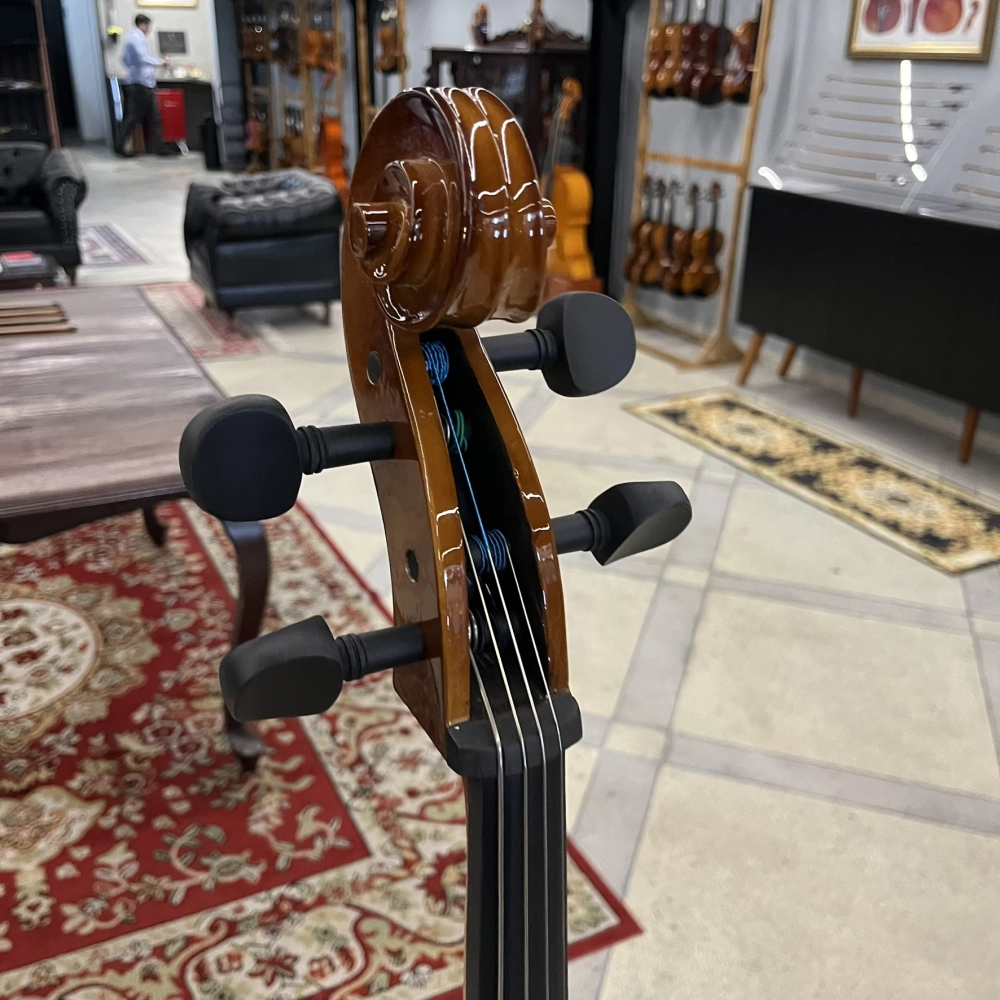 Violoncelo Erudithus Série YC100 Brown 4/4 - Usado U136