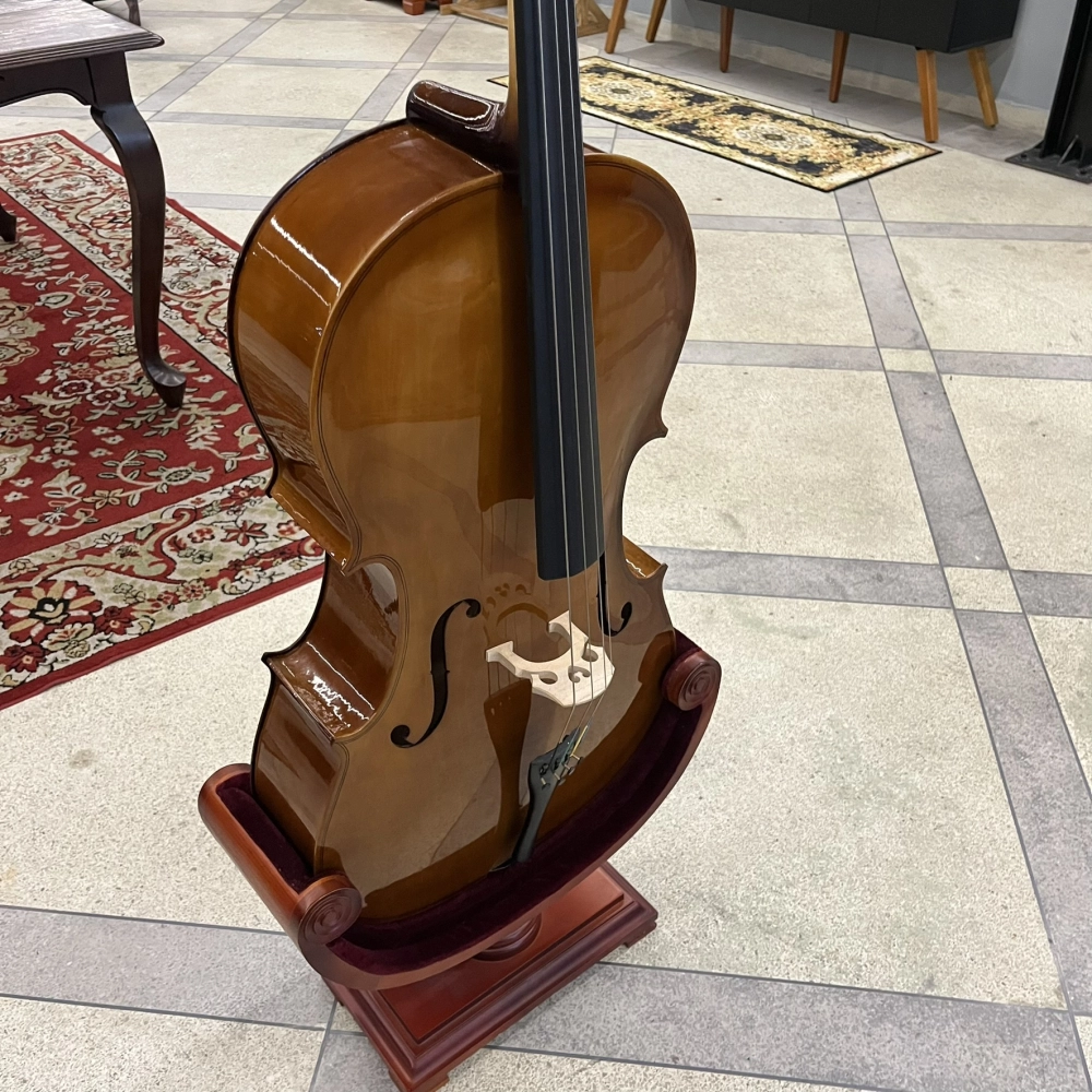 Violoncelo Erudithus Série YC100 Brown 4/4 - Usado U136