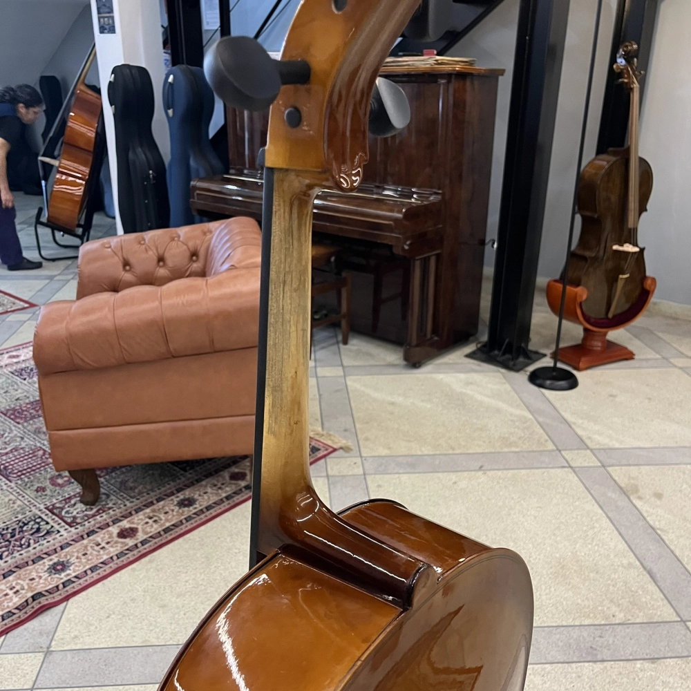 Violoncelo Erudithus Série YC100 Brown 4/4 - Usado U136