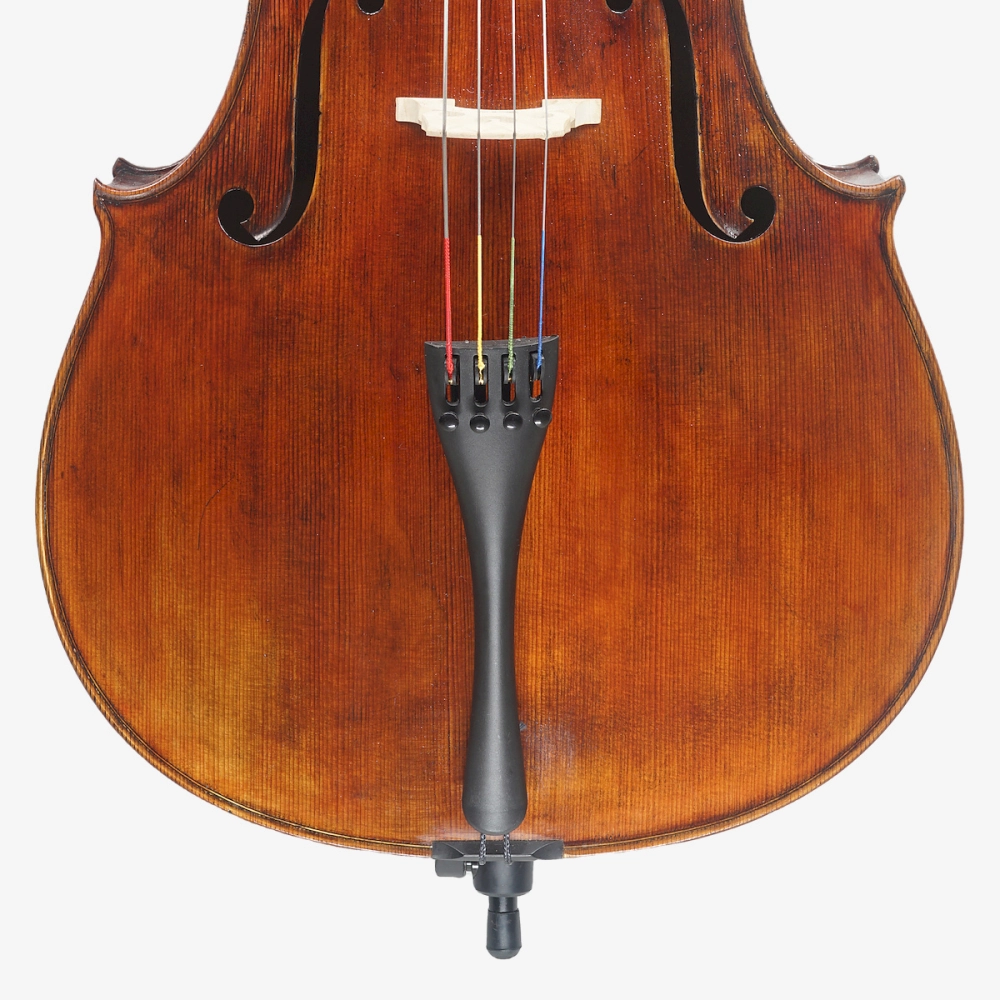 Violoncelo Luthier Adriano Alberge 2026 n826
