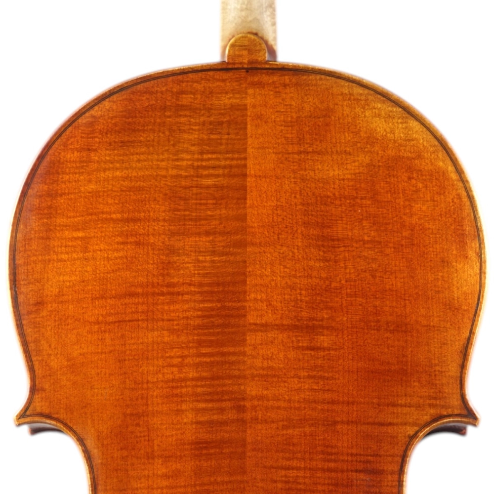 Imagem 5
