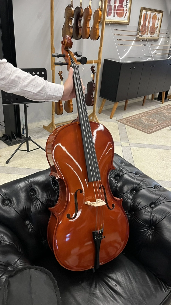 Violoncelo Tarttan Série 100 Natural 1/2 - USADO U083